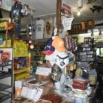 Little Rapids General Store - Behind the Counter