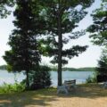Roe Park