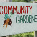 Community Garden - Volunteers Wanted