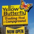 Yellow Butterfly Sign