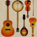 Bluegrass Instruments