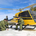 Chopper Crew