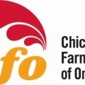 CFO Logo