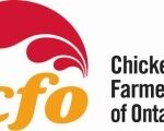 CFO Logo