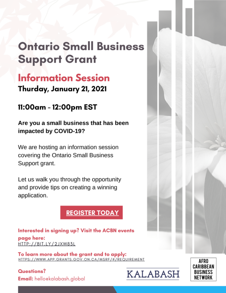 Ontario Small Business Support Grant Information Session Huron Shores