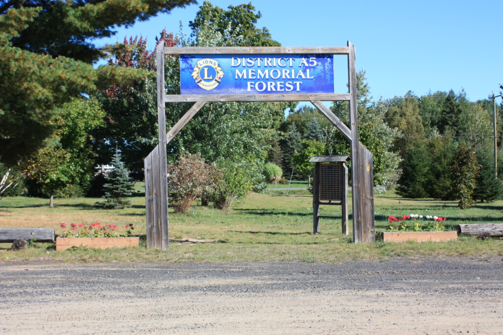 District A5 Memorial Forest 
