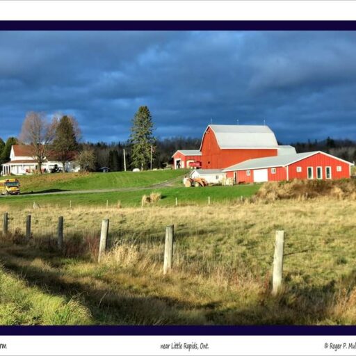 farmers field